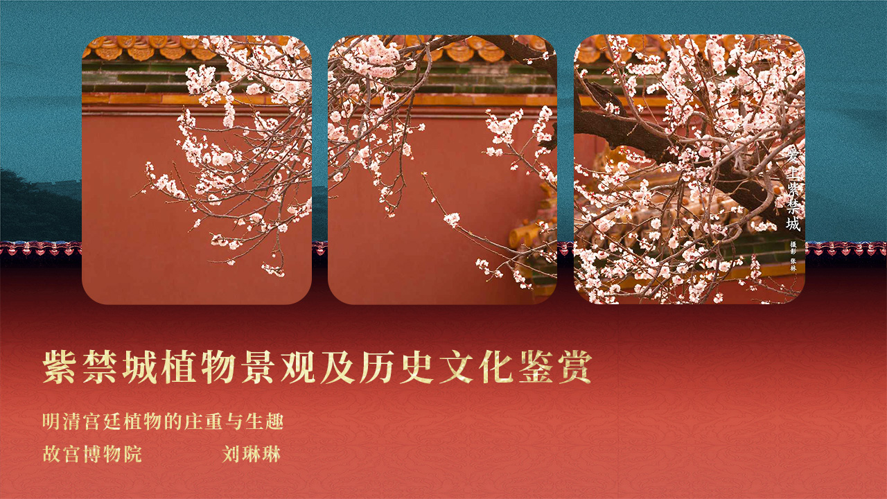 紫禁城植物景观及历史文化鉴赏