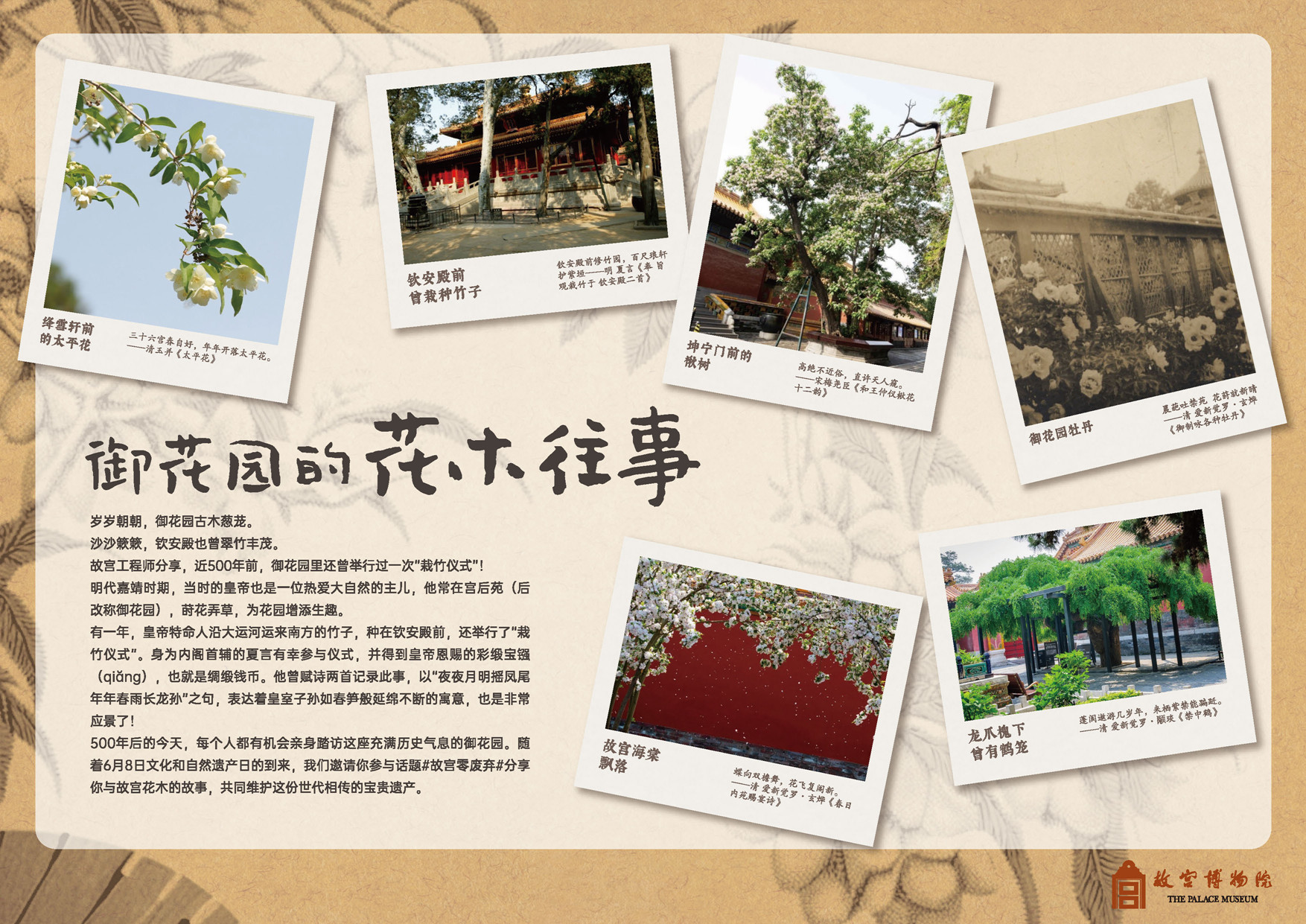 御花园的花木往事.jp</p>
	                        </div>
	                    </li>
	                    
	                    <li class=