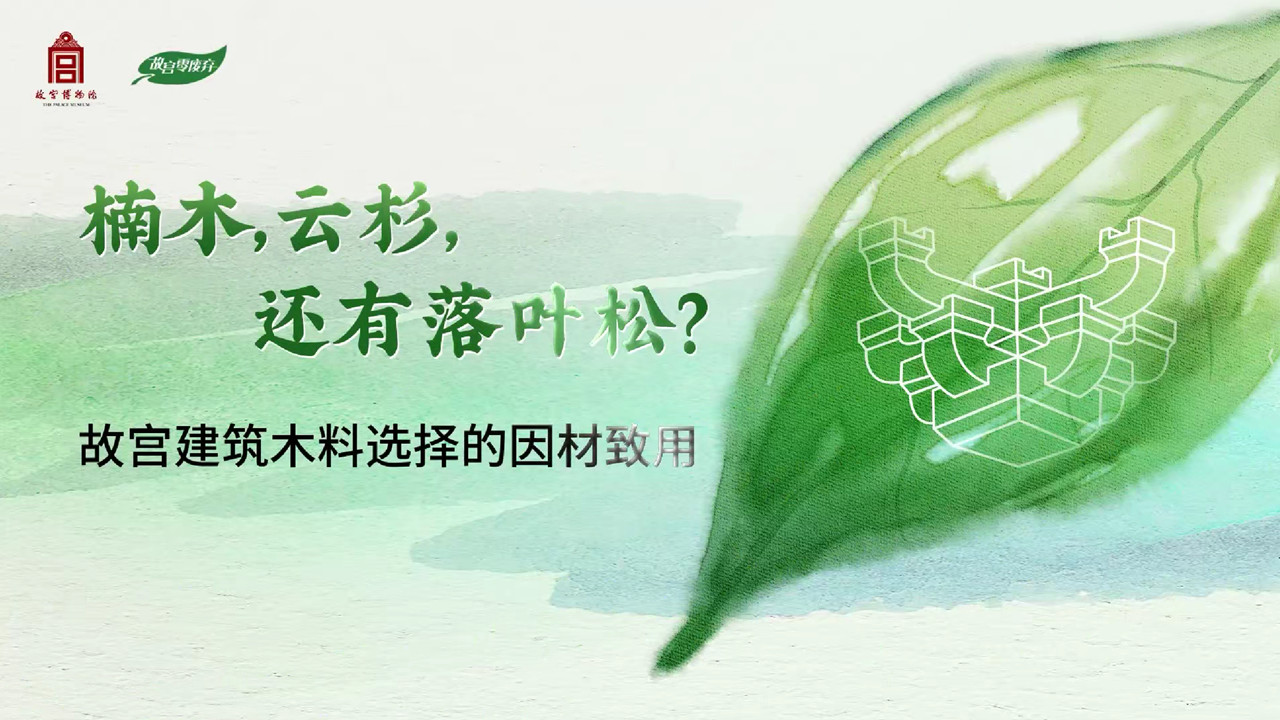 楠木，云杉，还有落叶松？